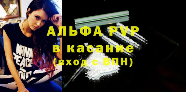 гидра Володарск