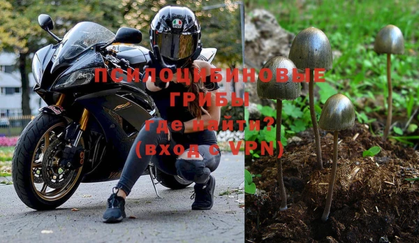 прущие крисы Вязьма