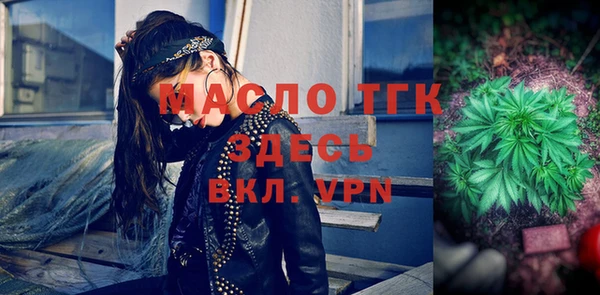 гашик Верея